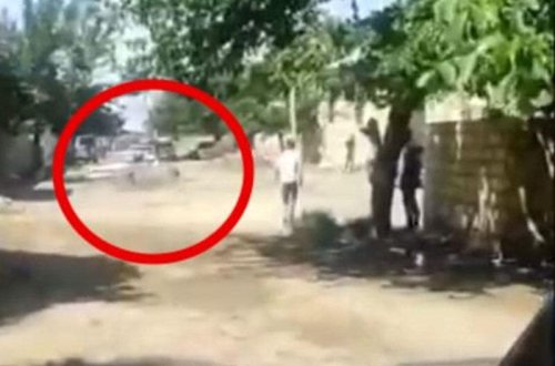 Toy karvanında və “Son zəng”də avtoxuliqanlıq etdilər - VİDEO - FOTO