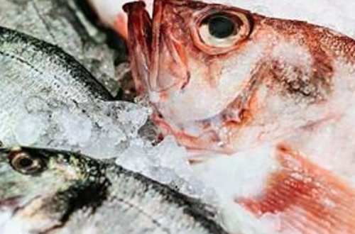 Ailə balıq yeyərək nadir xəstəliyə yoluxub