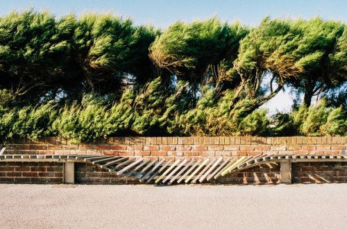 Ветреная погода в Азербайджане продлится до 24 июня