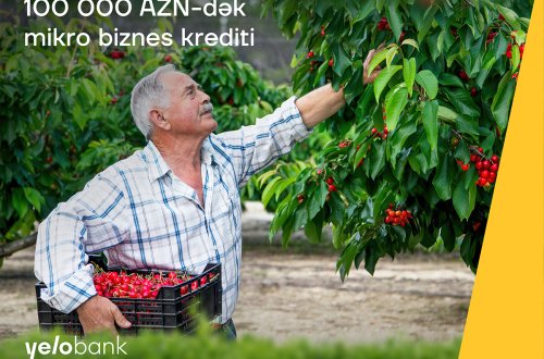 Yelo Bank-dan 100 000 manatadək mikro biznes krediti