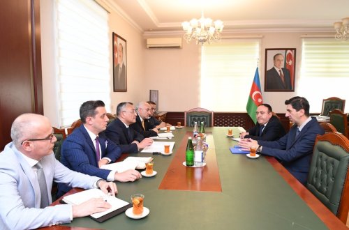 Dövlət Komitəsində BMqT-nin Azərbaycan Nümayəndəliyinin rəhbəri ilə görüş olub