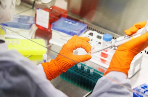 Meymunçiçəyi insandan insana yeni üsulla yoluxmağa başlayıb