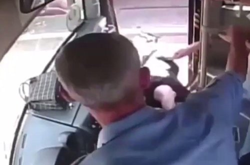 Sürücü onu vuran qadını avtobusdan təpiklə çıxardı - VİDEO