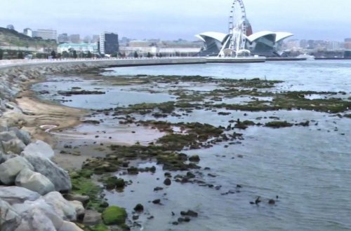 Xəzərin dayazlaşmasının qarşısını almaq üçün xüsusi ekspert qrupları yaradılacaq