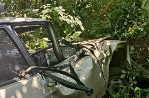 Şəkidə avtomobil ağaca çırpılıb, xəsarət alanlar var