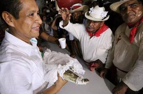 Meksikada yüzillik ənənə: Bələdiyyə sədri TİMSAHLA evləndi