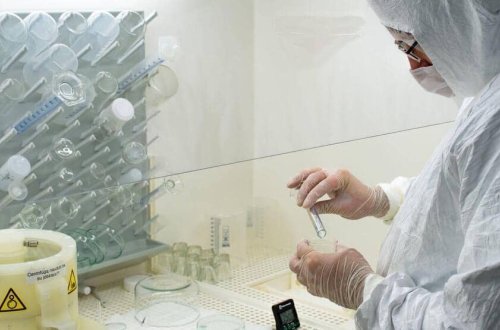 Meymunçiçəyi virusu ən azı 50 dəfə mutasiyaya UĞRAYIB