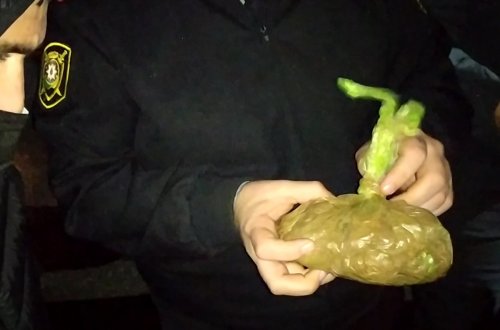 DİN: 2 il 6 ayda narkotiklərlə bağlı 19 mindən çox cinayət qeydə alınıb