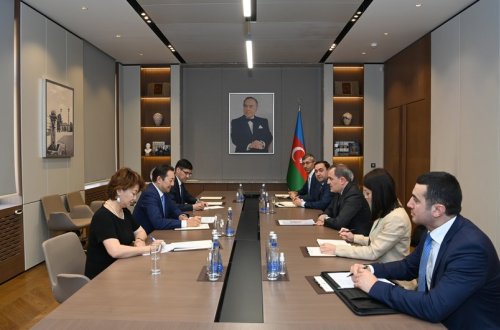 Ceyhun Bayramov AQEM-in icraçı direktoru ilə görüşüb