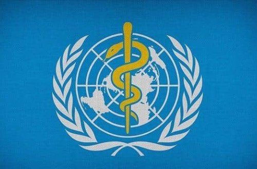 ÜST: Dünyada 6000-dən çox meymun çiçəyi virusu var