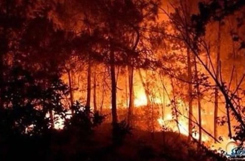 Fransada meşə yanğını: 620 hektar ərazi YANIB
