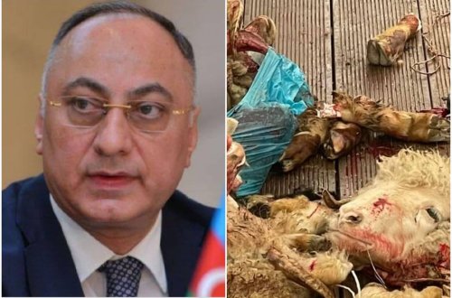 Qida Təhlükəsizliyi Agentliyi tam fəaliyyətsiz hala düşüb: HƏR YERDƏ ANTİSANİTARİYA, ÖZBAŞINALIQ, XAOS HÖKM SÜRÜR (FOTO)