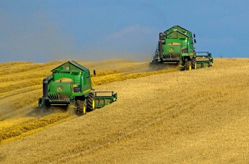 Kənd Təsərrüfatı Nazirliyi yem sənayesinə vergi güzəştlərinin ölkəyə təsirini açıqlayıb