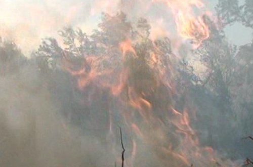 ГДП: Открылась дорога, закрытая из-за пожара в Шабране