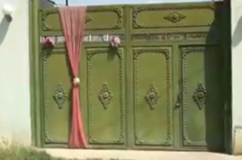 Arı sancmasından ölən gənclə bağlı dəhşətli faktlar: Nişanlısıgilin evində... - VİDEO