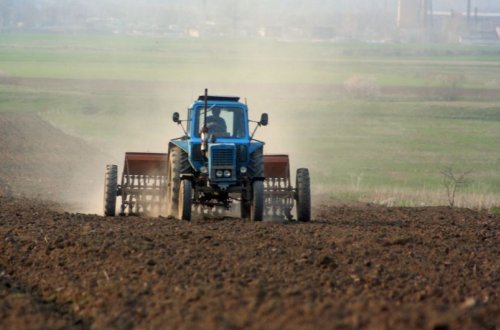 Kənd Təsərrüfatı Nazirliy fermerlərə çağırış edib