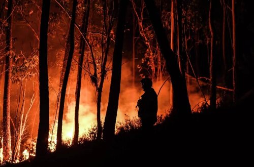 Portuqaliyada meşə yanğını davam edir: 29 YARALI VAR