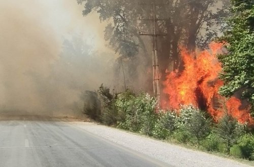 FHN Xaçmazdakı yanğınla bağlı məlumat yayıb