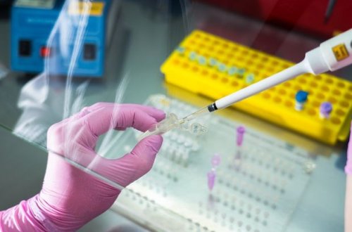 Meymunçiçəyinin gizli əlaməti