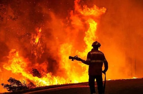 Portuqaliyada bir neçə məntəqədə meşə yanğınları qeydə alınıb