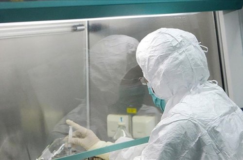 Bu ölkədə də meymunçiçəyi virusu aşkarlandı