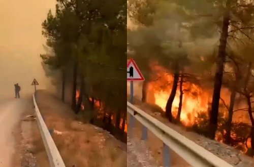 Новые кадры продолжающихся лесных пожаров в Турции - ВИДЕО