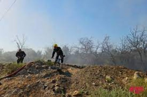 Zəngilanda ağaclıq ərazi yanır