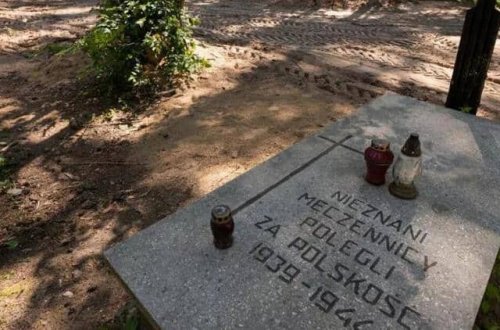 Polşada 8000 nasist qurbanının külləri tapılıb