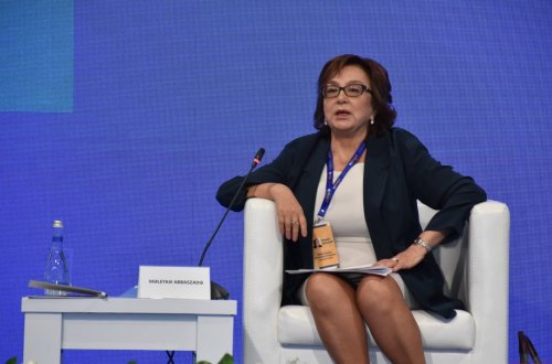 Məleykə Abbaszadə: Ali təhsil sistemində məzmun kifayət qədər dəyişməlidir