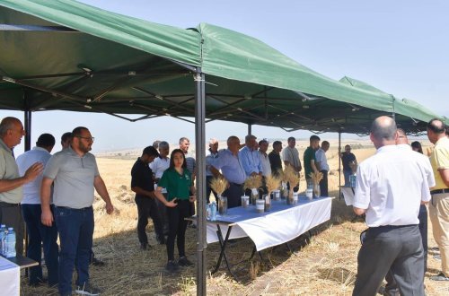 Ölkə üzrə 331719 hektar sahədə yay şumu aparılıb