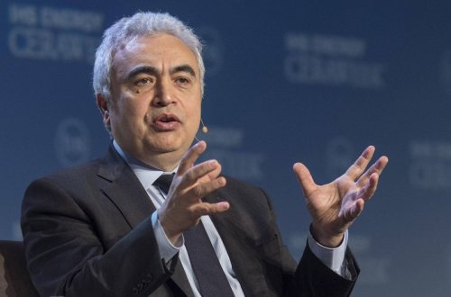 BEA rəhbəri Avropanı təbii qaz istehlakını azaltmağa çağırıb