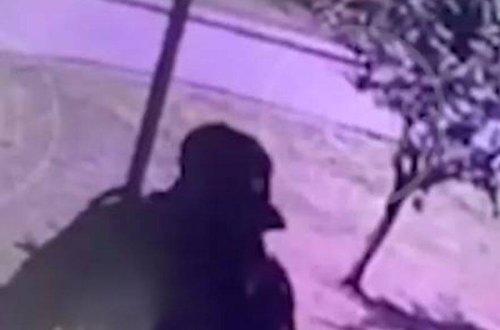 İnternat məktəbinin rəhbəri və işçisinin öldürülmə anı VİDEOya düşüb