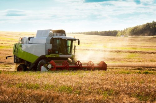 Azərbaycanda hər ay ərzaqlıq buğdanın orta idxal qiyməti açıqlanacaq