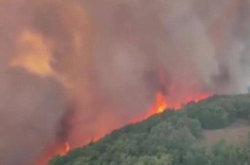 Meşə yanğınları davam edir: 4 kənd BOŞALDILIB