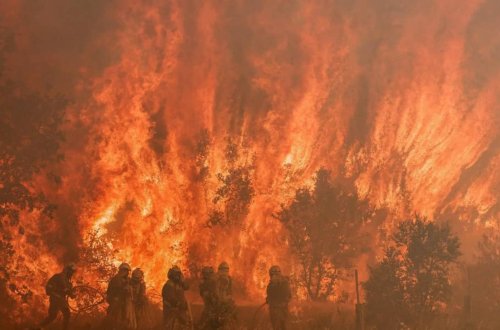 Hollandiya şirkətindən şok etiraf: “İspaniyadakı meşə yanğınına görə məsuliyyət daşıyırıq”