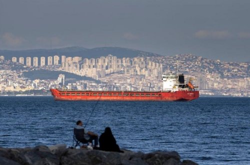 İstanbulda taxıl daşıyan gəmilərin yoxlanılması məqsədilə koordinasiya mərkəzi yaradılacaq