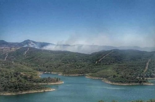 İzmir və Adanada meşə yanğınları davam edir
