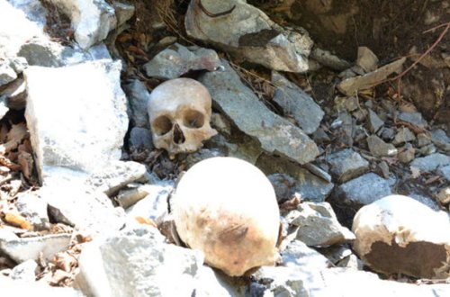 Beyləqanda yol kənarında insan sümükləri tapıldı