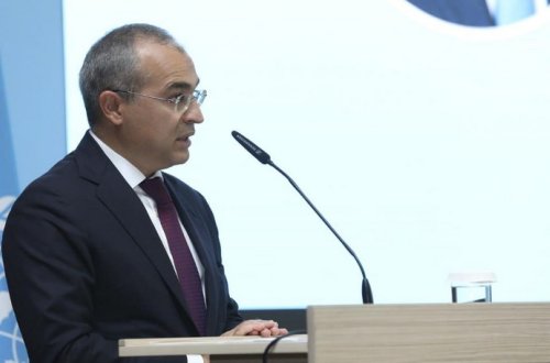 Sahibkarlığın İnkişafı Fondu bu il 54 milyon manat güzəştli kredit verib