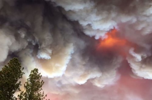 Meşə yanğını səmada qeyri-adi mənzərə yaratdı - FOTO/VİDEO