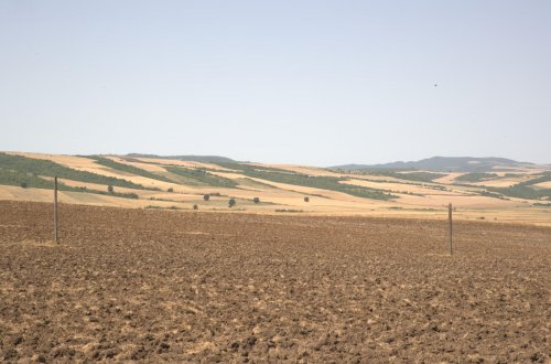 Növbəti mövsüm üçün proqnozlaşdırılan taxıl əkini sahələrinin 50,6 faizində yay şumu aparılıb