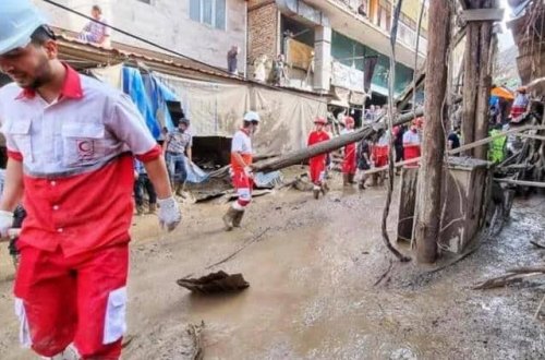 Yaponiyada meymunlar 58 nəfərə hücum edib