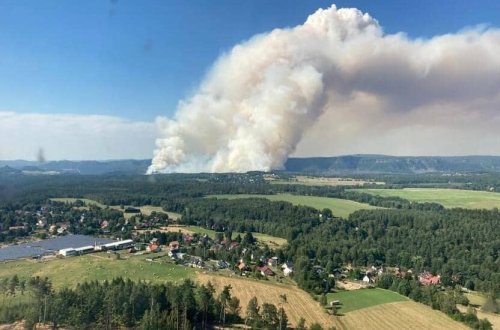 Çexiyada baş verən meşə yanğınında min hektar ərazi kül olub