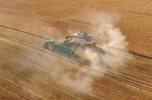 Rusiyada taxıl istehsalı 11 milyon ton azalıb