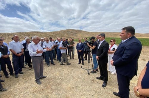 Lerik rayonunda kartof əkini ilə məşğul olan fermerlərlə görüş keçirilib