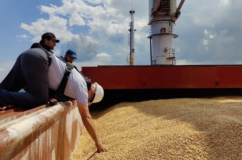 İstanbulda Ukraynadan taxıl yükü ilə gələn ilk gəmiyə baxış keçirildi - Fotolar