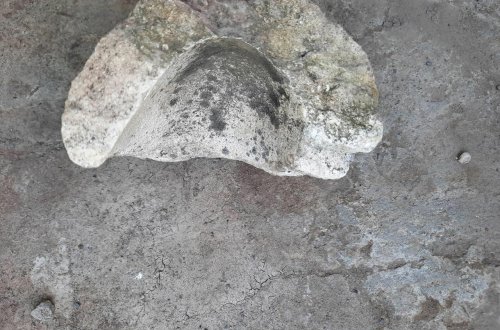 Ağdamda orta əsrlərə aid küp qalıqları aşkar edildi - FOTO