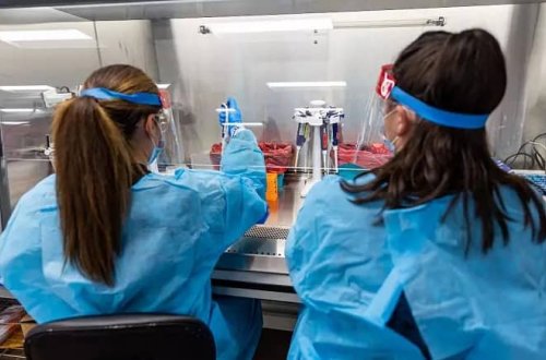 ABŞ iki ştatda meymunçiçəyi ilə bağlı fövqəladə vəziyyət elan edib