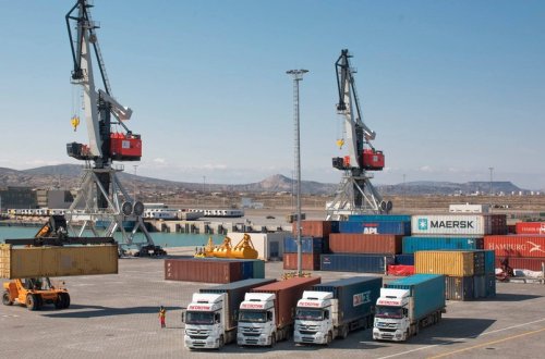 Daha 24 Rusiya müəssisəsi Azərbaycana heyvandarlıq məhsulları ixrac edəcək