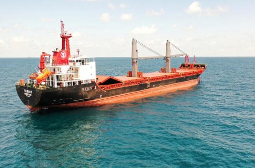 Ukrayna limanlarından soya və qarğıdalı daşıyan 2 gəmi yola düşüb